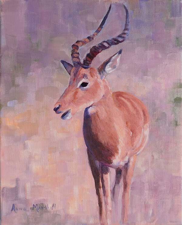 Oil painting of African Impala